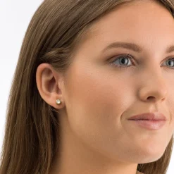 Blomdahl - Örhängen Bezel Titan Guld Klar