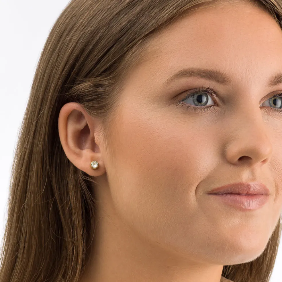 Blomdahl - Örhängen Bezel Titan Guld Klar