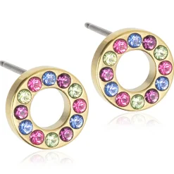 Blomdahl - Örhängen Brilliance Hollow Titan Smal Guld Fantasy