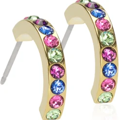 Blomdahl - Örhängen Brilliance Curved Large Guld Fantasy