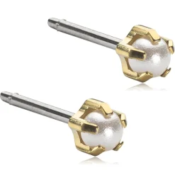 Blomdahl - Örhängen Tiffany Pearl Guld