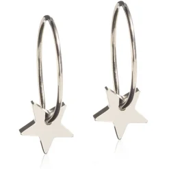 Blomdahl - Örhängen Titan Ring Plain Stjärna