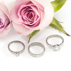 Blomdahl - Ring Bezel Titan