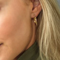 Bud To Rose - Örhängen Ice Crown Hoop Mix