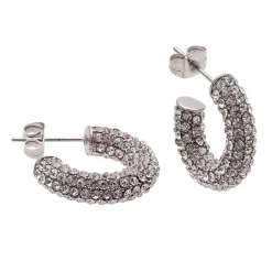 Bud To Rose - Örhängen Lola Crystal Stål