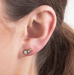 Dyrberg/Kern - Örhängen Lini Guld Klar