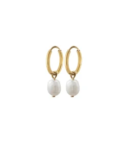 Edblad - Örhängen Perla Creol Guld