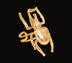 Ioaku - Ring Beetle Guld