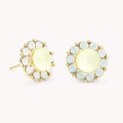 Lily and Rose - Örhängen Miss Sofia Guld Lemon