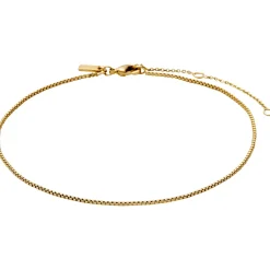 Pilgrim - Fotlänk Pallas Guld