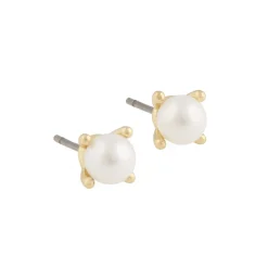 Snö of Sweden Örhängen Lucy Pearl Guld