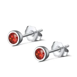 The Botilda - Örhängen Månadssten Mini Januari Silver