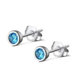 The Botilda - Örhängen Månadssten Mini December Silver