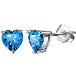 The Botilda - Örhängen Månadshjärta December Silver