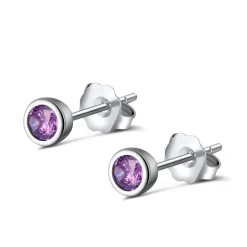 The Botilda - Örhängen Månadssten Mini Februari Silver