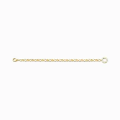 Thomas Sabo - Armband Charm Club 0,5 Guld