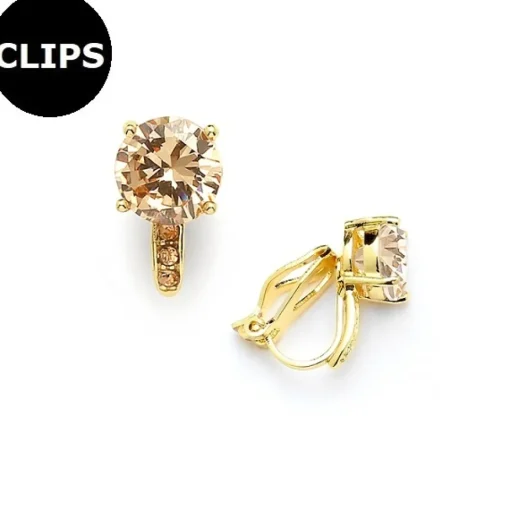 Mariell - Örhängen CLIPS Pave Mix