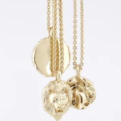 Snö of Sweden Halsband Oz Lion Guld